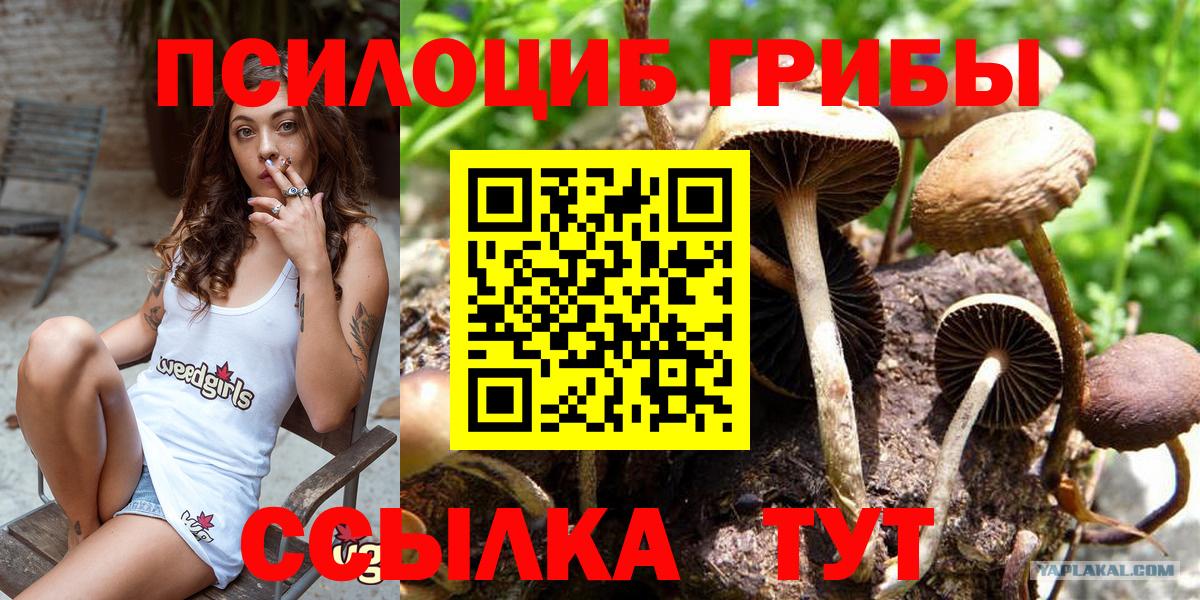 Стерлитамак  Галлюциногенные грибы MAGIC MUSHROOMS  Вход с VPN 